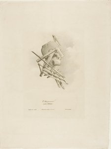 Tesař z Arts et Métiers
