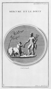 Merkur a vůl, 1757