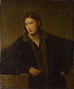 Portrét Stefano Nani, 1528