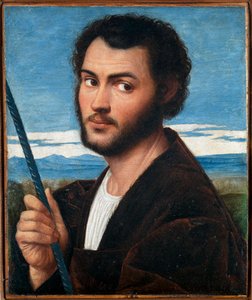 Portrét muže par Licinio, Bernardino (asi 1489-asi 1565). Olej na plátně, rozměr: 32x25,5, první polovina 16. stol., Fondazione Cini, Venezia
