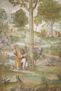 Cephalus skrývá drahokamy od Bernardino Luini