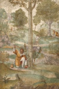  od Bernardino Luini