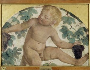 Sklizeň putti - Putto pod pergolou, cca 1514 (samostatná freska nesená na palubě) od Bernardino Luini