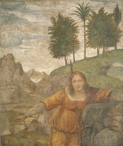Procris propíchnutý Cefalovým oštěpem od Bernardino Luini