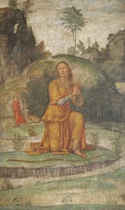 Procrisova modlitba k Dianě, c. 15201522. od Bernardino Luini