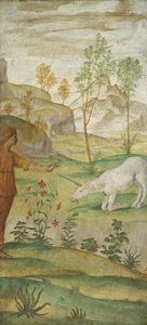 Procris a jednorožec, c. 15201522. od Bernardino Luini