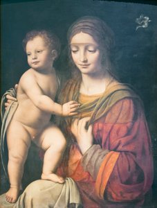 Neitsyt ja lapsi od Bernardino Luini