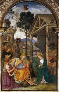 Narození Páně se sv. Jeronýmem, mladistvá freska od Bernardina Bettiho známá jako Il Pinturicchio od Bernardino di Betto Pinturicchio