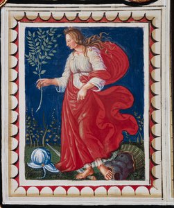Knihovna Piccolomini, strop, panel s alegorií míru, freska od Bernardina di Betto, známého jako Pinturicchio.
