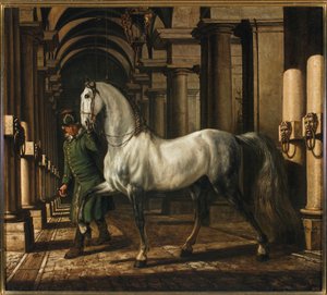  od Bernardo Bellotto