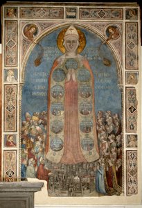 Madone de la Misericorde - Madonna of Mercy (Madonna of Mercy) par Daddi, Bernardo (1290-1350)