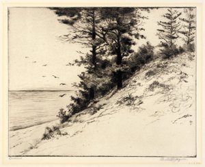 Duneland od Bertha E. Jaques