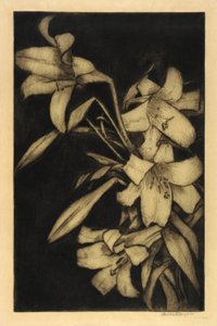 Velikonoce nebo Madona, lilie od Bertha E. Jaques