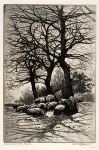 Hampstead Heath, Londýn