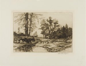 Jackson Hollow