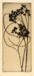Woolgrass od Bertha E. Jaques