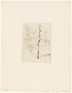 Jezero v Bouloňském lesíku od Berthe Morisot