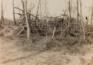 Album první světové války ve Friuli-Venezia Giulia: obranná překážka (fríští koně), 05/1916 (čb foto) od Bertoni Bertoni