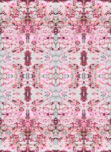 Burgandy Rose, 2015 (kombinovaná technika, ilustrace, digitální)