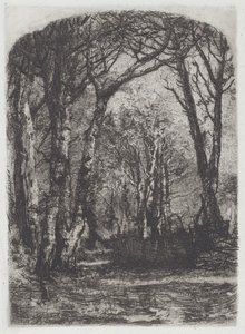 Woods [Bosco], kolem roku 1895.