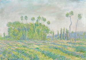 Francouzština:  Giverny, Peupliers des Ajoux