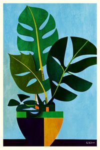 Moderní monstera v květináči od Bo Anderson