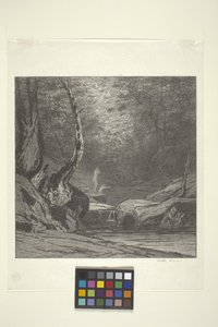 Crooked Tree (inkoust na papíře) od Bolton Coit Brown