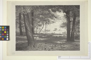 Edge Of The Woods (inkoust na papíře)