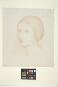Eleanor (inkoust na papíře) od Bolton Coit Brown