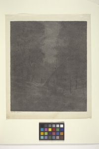 Moonlight Woods (inkoust na papíře) od Bolton Coit Brown
