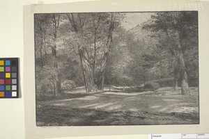 Sierra Woods (inkoust na papíře)