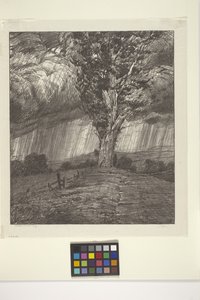 Storm (inkoust na papíře)