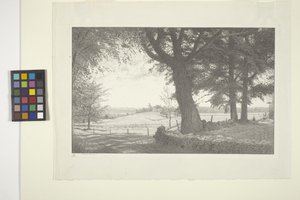 Vandale (inkoust na papíře) od Bolton Coit Brown