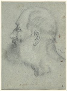 Hlava vousatého muže z profilu vlevo od Bonifazio Veronese (attributed to)