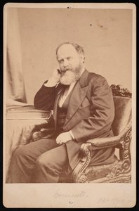 Portrét Johna Angela Jamese Creswella 1828-1891, před rokem 1891. od Brady