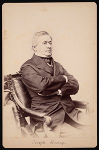 Portrét Josepha Henryho 1797-1878, mezi 1868 a 1878. od Brady