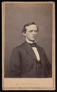 Portrét Lymana Trumbulla 1813-1896, mezi 1864 a 1868. od Brady