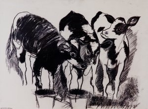The New Calves (uhlí na papíře) od Brenda Brin Booker