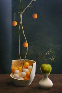 Elegantní ovocné zátiší od Brig Barkow