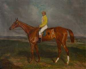 Kaštanový dostihový kůň s žokejem, kolem 1860-90 (olej na plátně) od British School