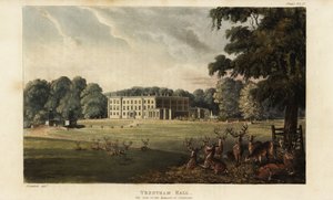 Stádo jelenů před Trentham Hall od British School