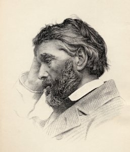 Thomas Carlyle (rytina) od British School
