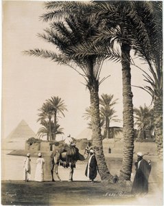 Palmový háj na úpatí egyptských pyramid - fotografie bratří Zangali, konec 19. století