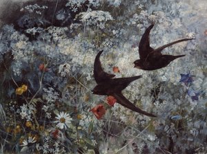 (Obyčejný) Swift