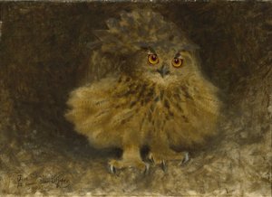 Výr velký, 1905