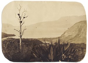 Jezero a hora Tarawera z Te Wairoa, 1860 (albumenový tisk) od Bruno Hamel