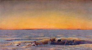 Východ slunce, 1896 od Bruno Andreas Liljefors