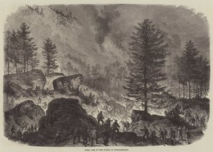 Velký požár v lese Fontainebleau