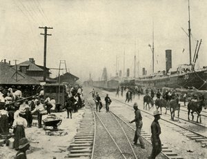 Zajatci propuštěni, španělsko-americká válka, červen 1898, 1899. od Burr McIntosh