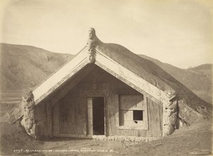 Runanga House - Wairoa - After Eruption Jun 10.86, July 1886 (albumen print)
